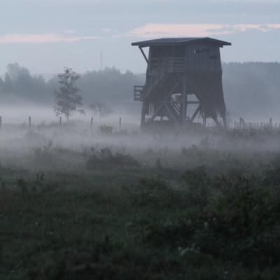 Mirador les pieds dans la brume