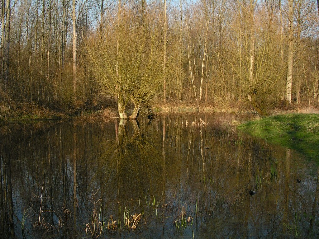 Mare du cabanon de chasse