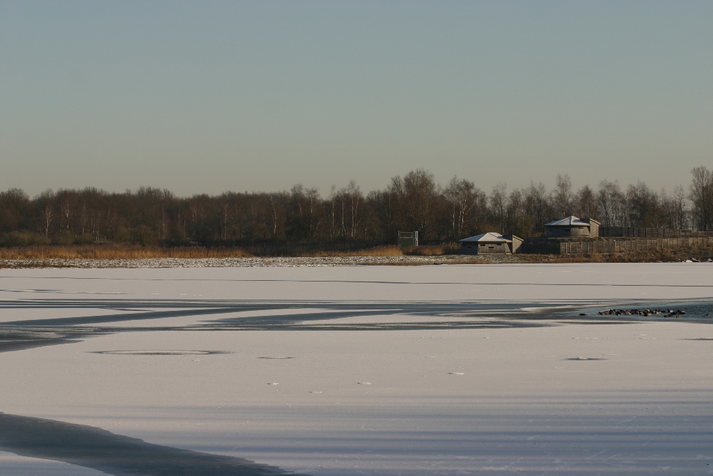 Bassin sud gelé