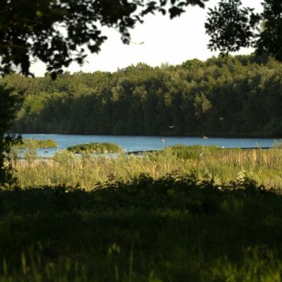 Point de vue sur Bassin Sud