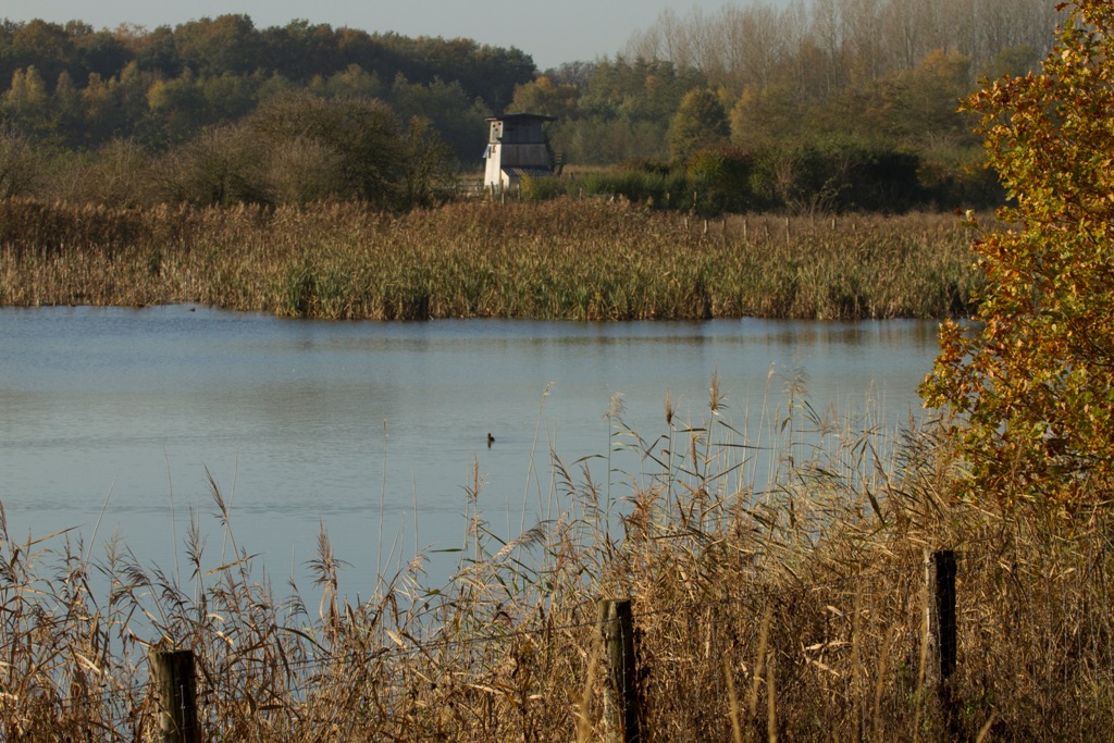 Point de vue depuis Bassin Nord 1