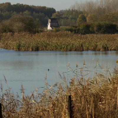 Point de vue depuis Bassin Nord 1