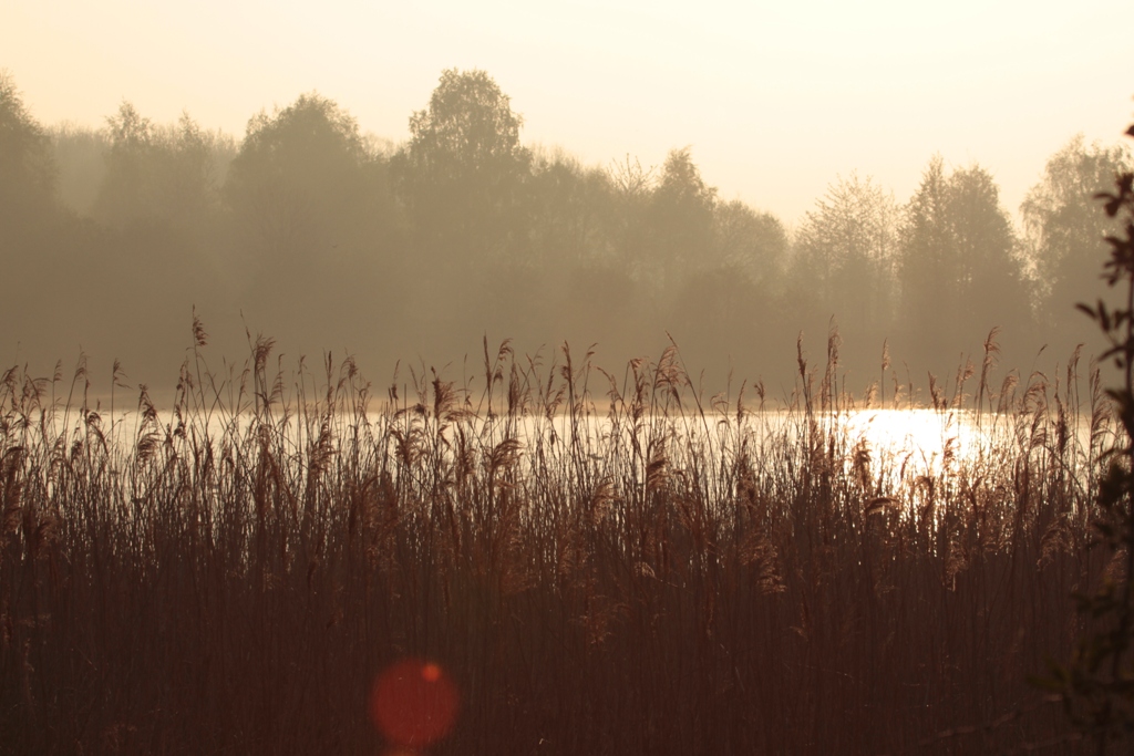 Fin de journée sur le bassin Sud