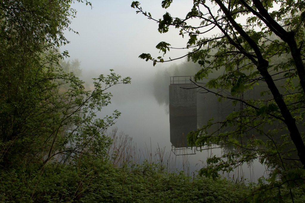 Brume sur le bassin d'aération