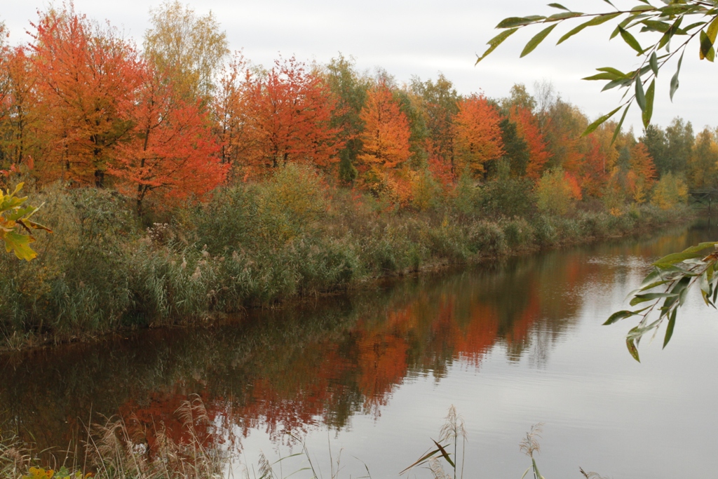 Nuances de merisiers, bassin d'aération