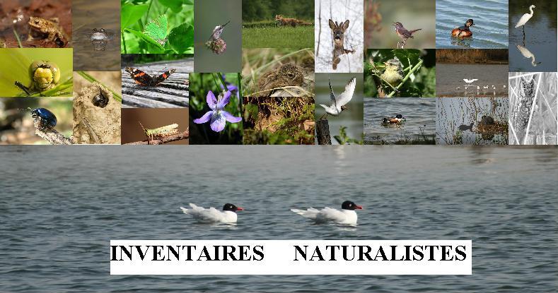 Inventaires Naturalistes du site ornithologique des cinq tailles