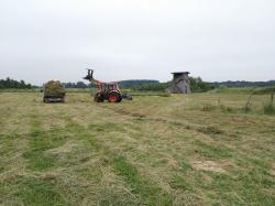 Fauche sainfoin d espagne