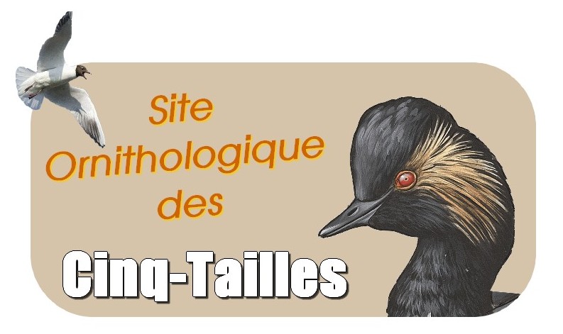 Site Ornithologique des Cinq Tailles